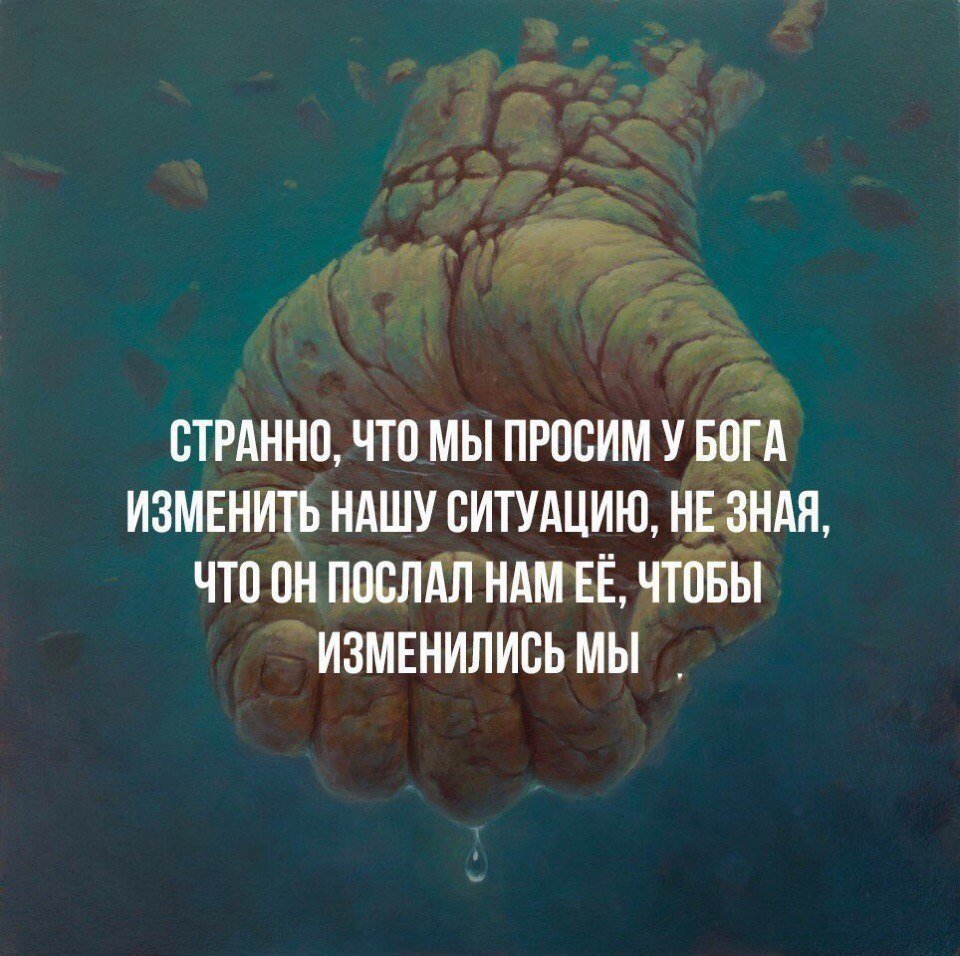 Смешные цитаты