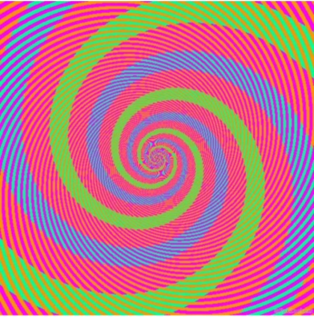 Иллюзия с котами