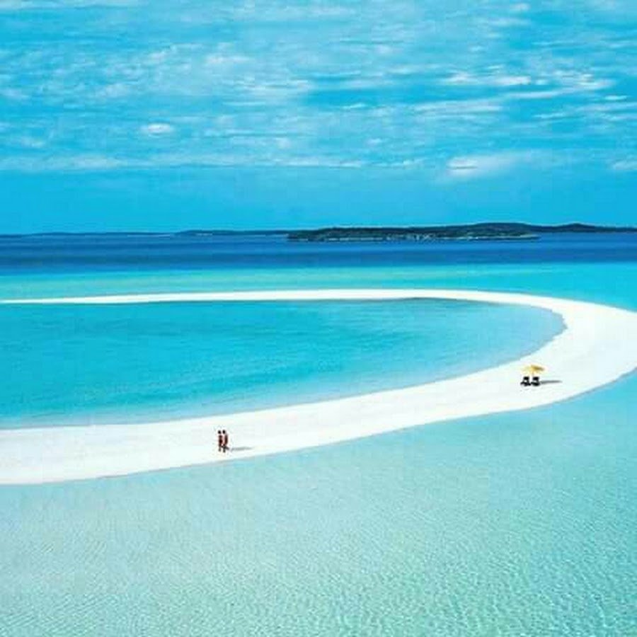 Риф Муша Багамы