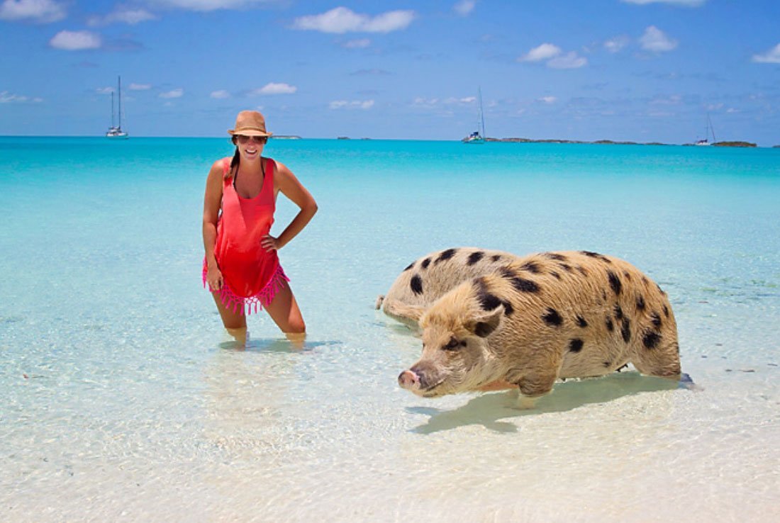 Остров Биг Мэйджор Кэй Багамские острова