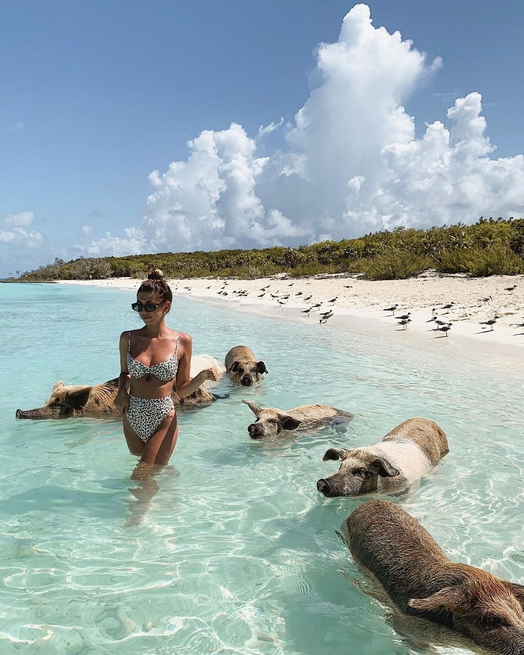 Карибы, Багамы..... Карибы и Багамы