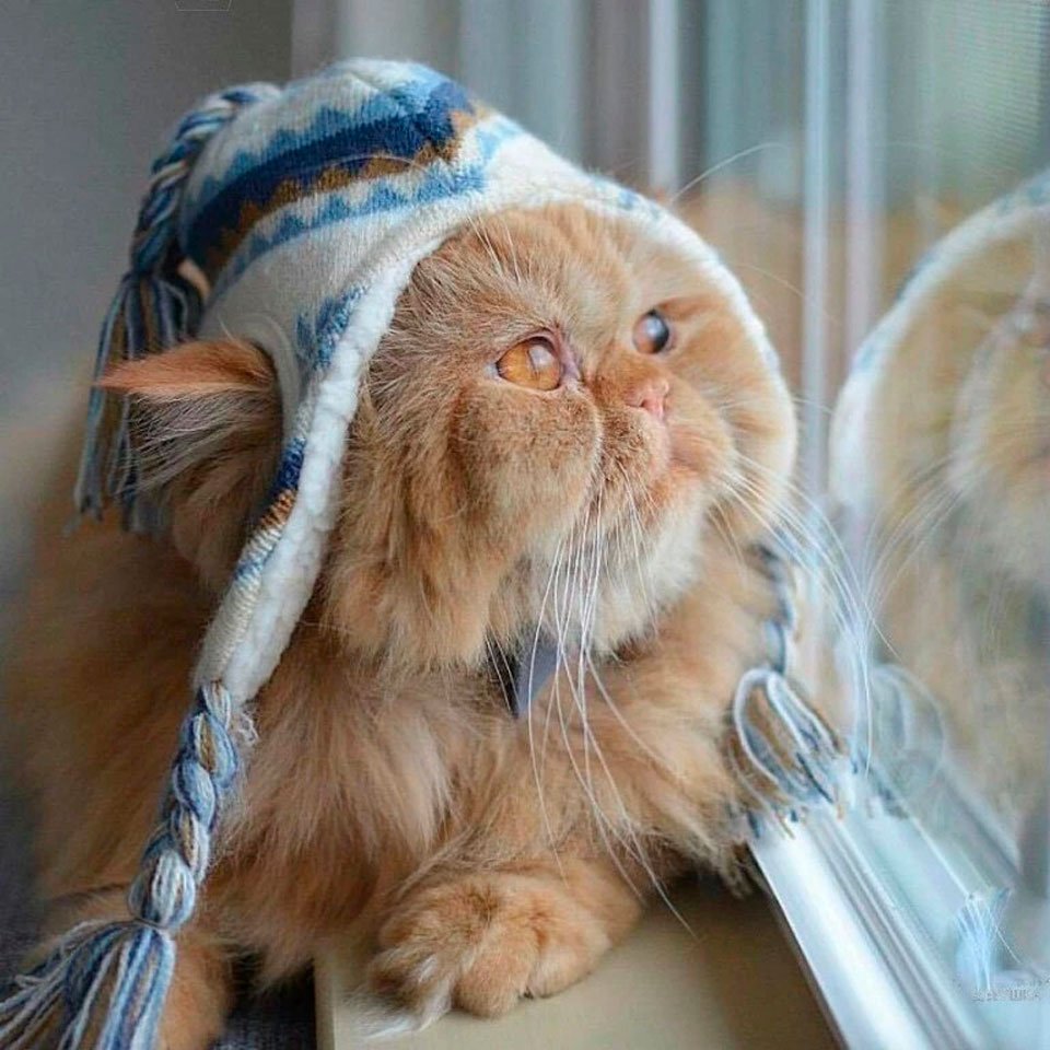 Открытки с добрым утром прикольные