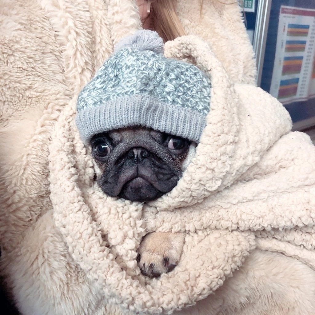 Одевайся теплее