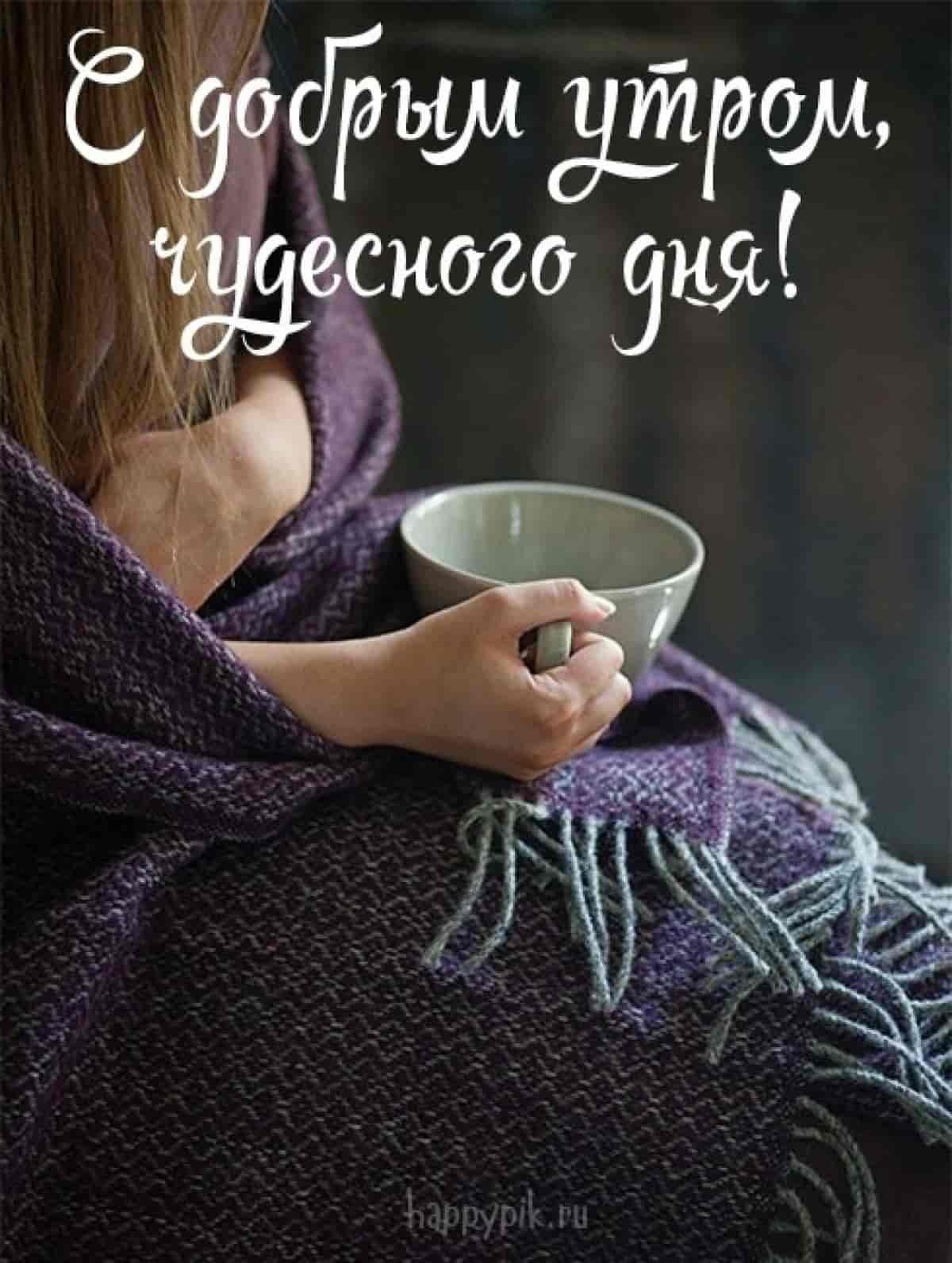 Холодина собачья приколы