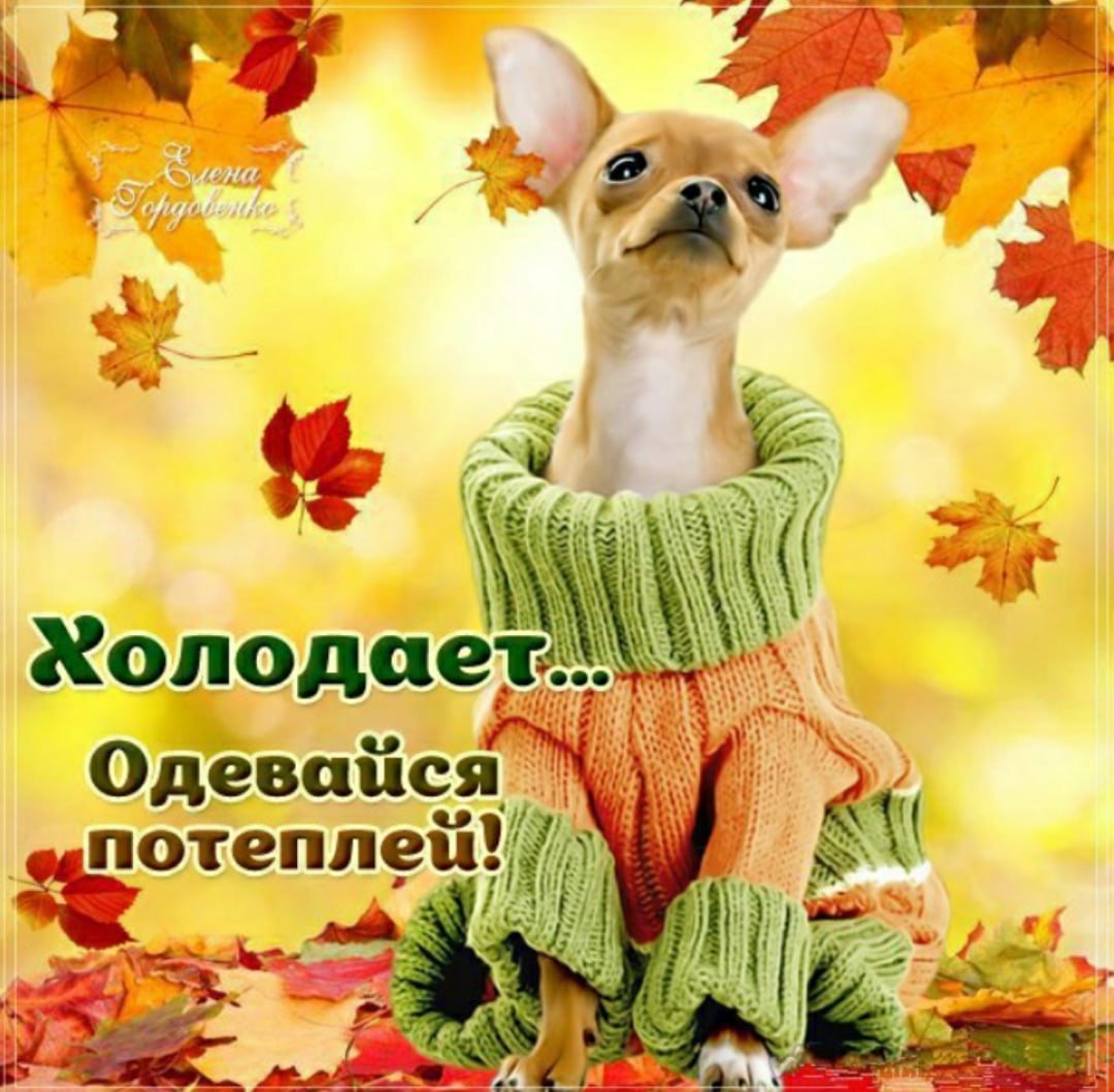 С добрым утром тепла и уюта