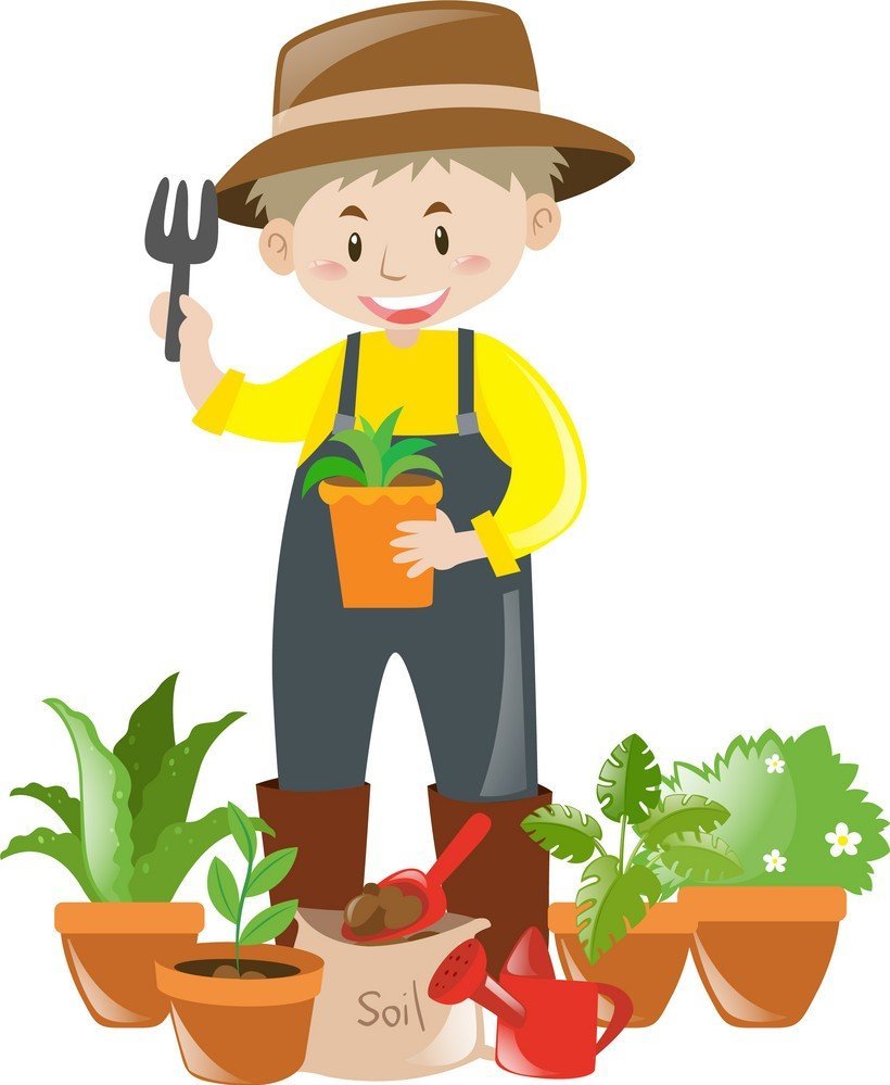 Цветовод для детей