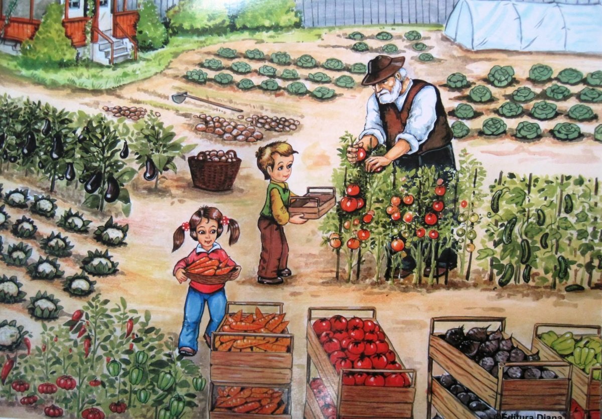 Учитель поливает цветы