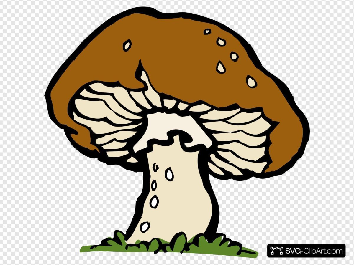 Рисуем грибы