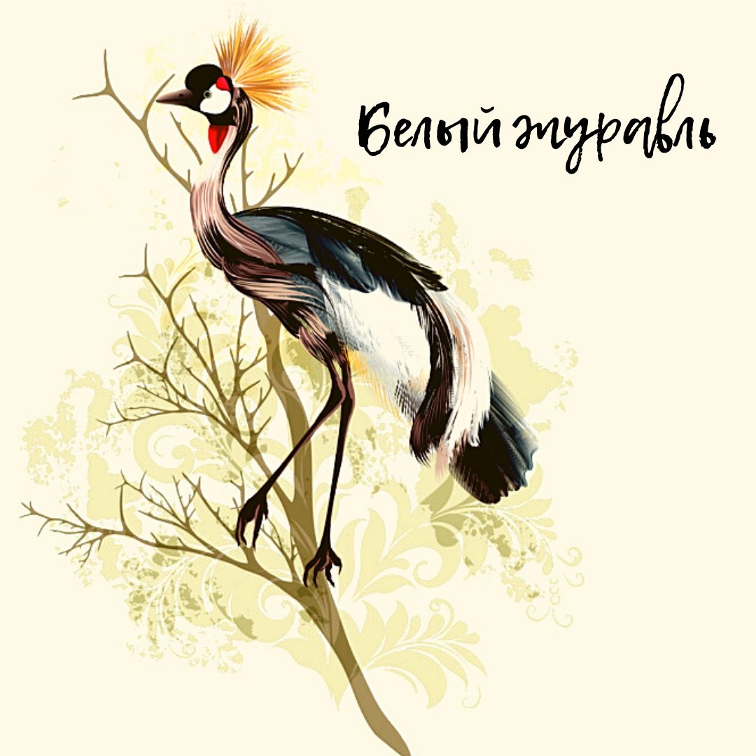 Журавль без фона