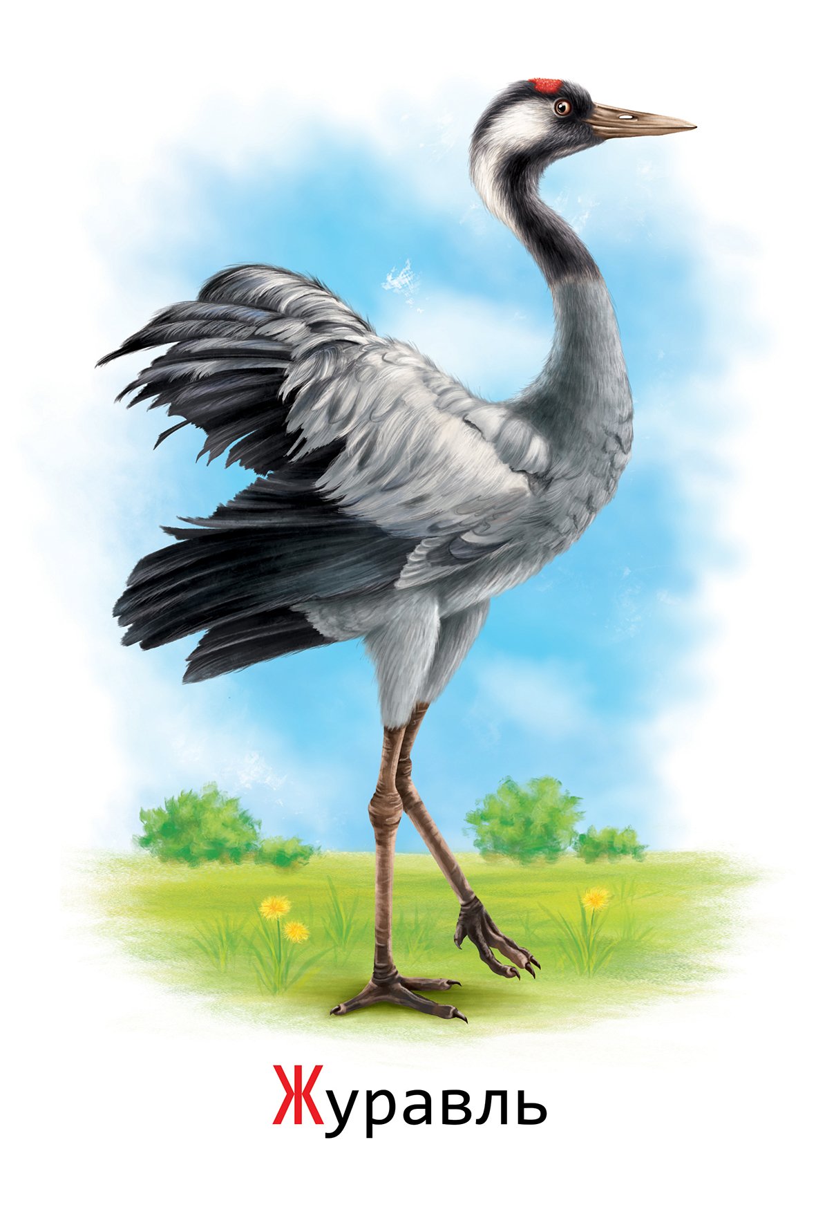 Журавль для детей