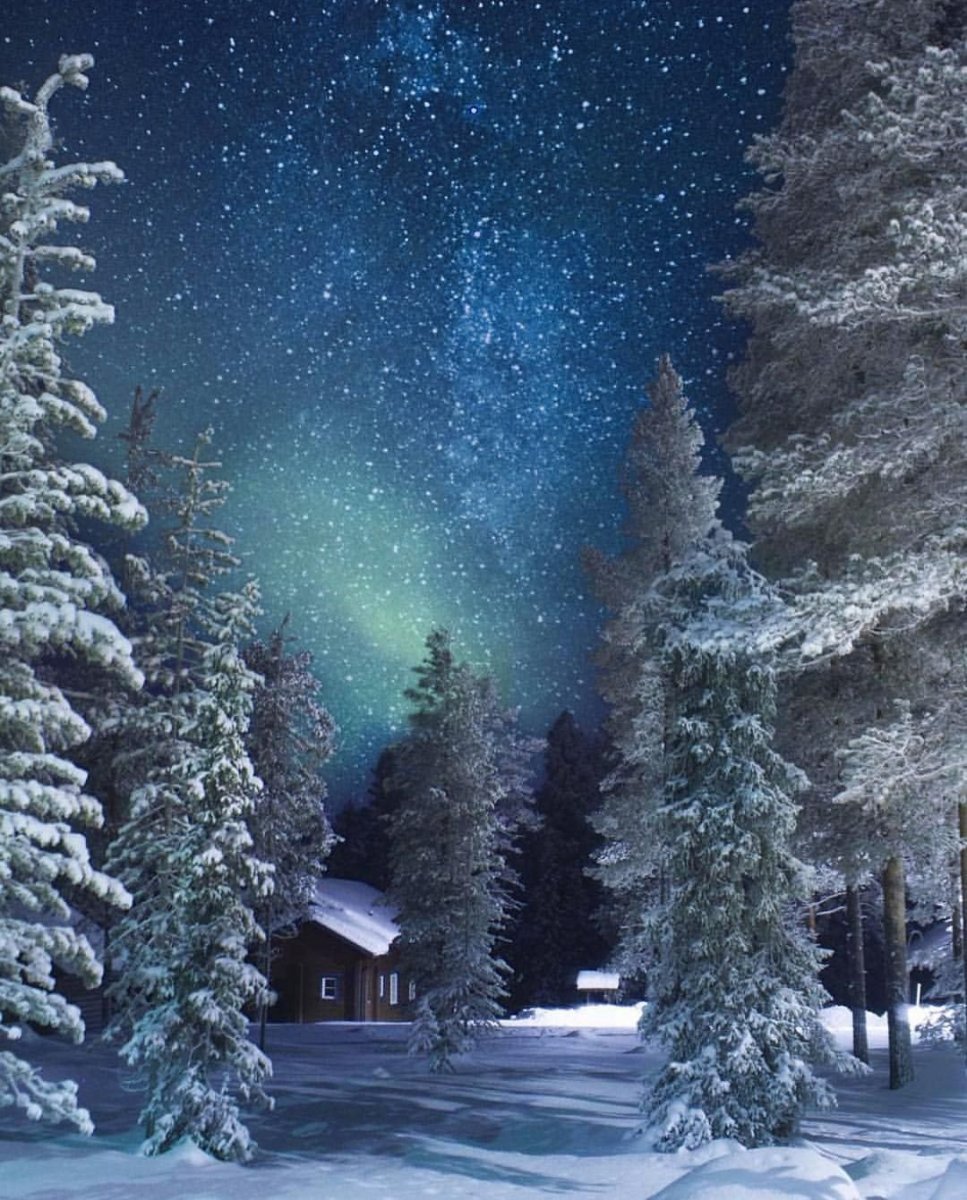 Сказочный зимний лес