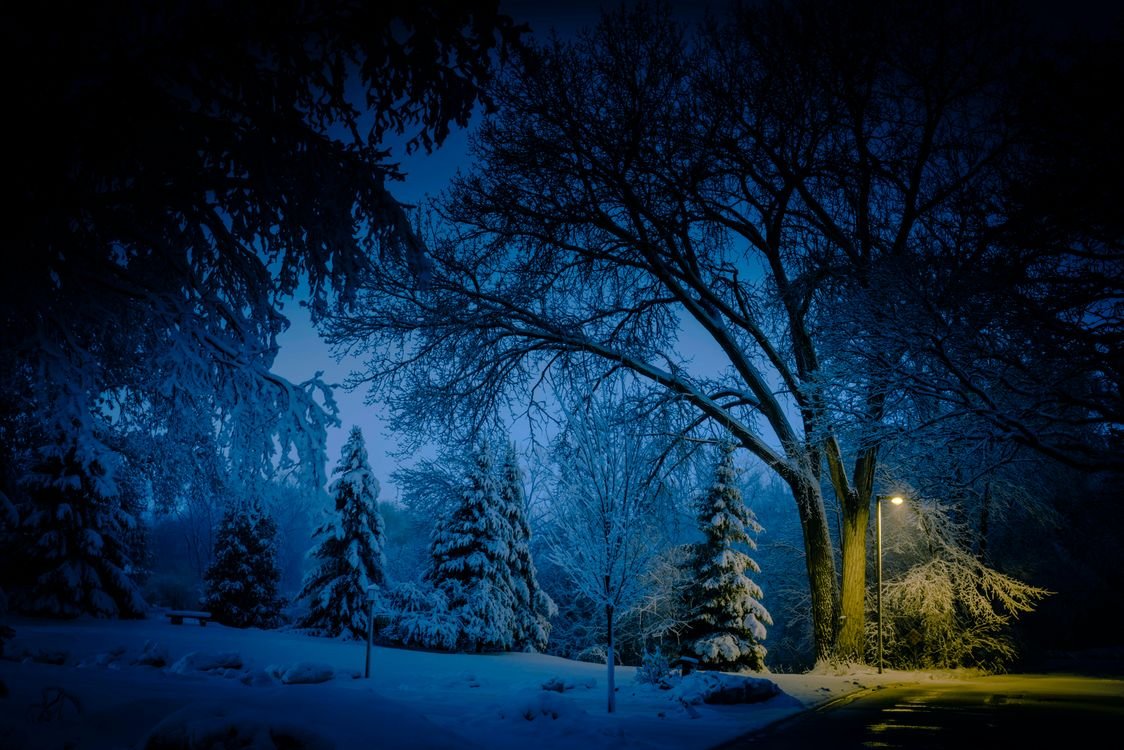 Зимняя природа ночью