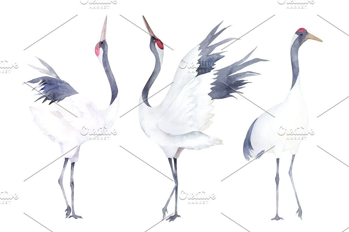 Семья журавлей