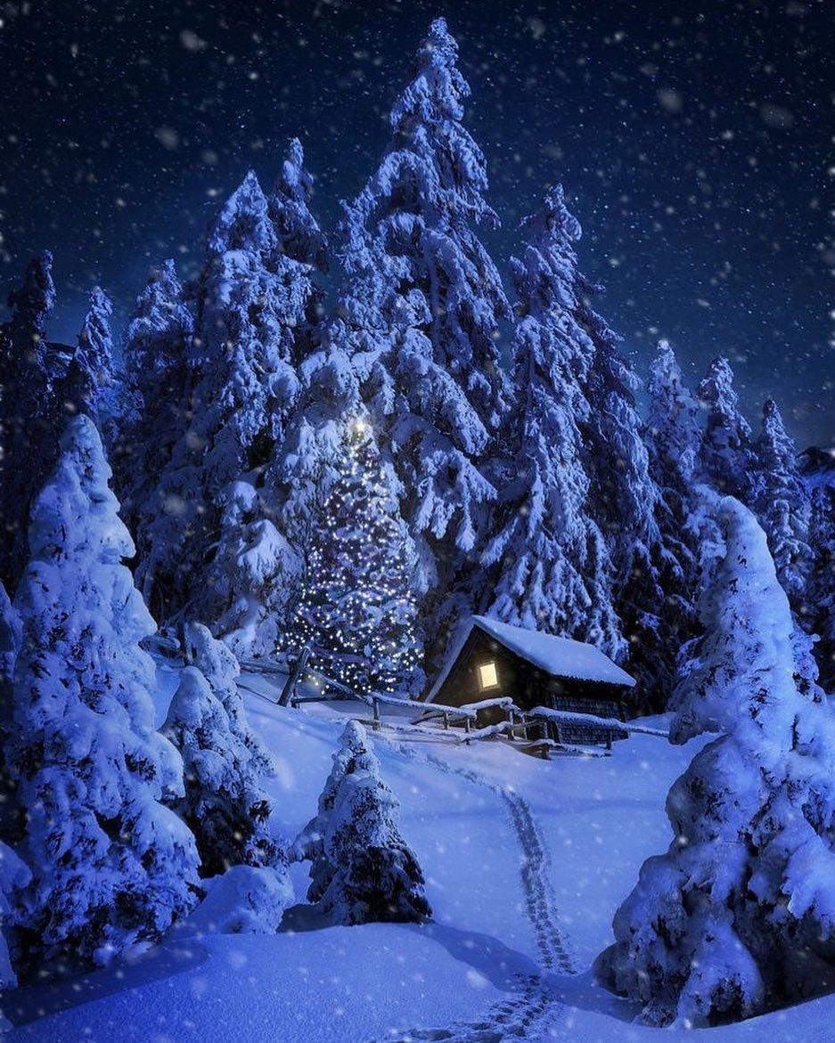 Снежная ночь