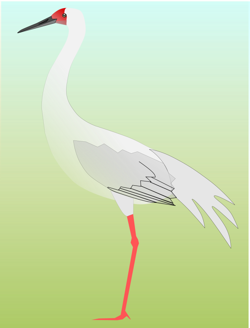 Венценосный журавль акварелью