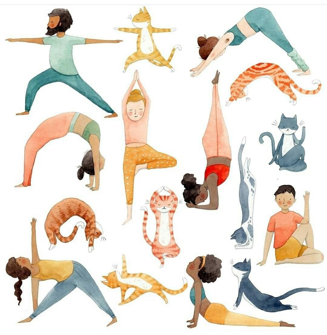 Асана иллюстрация