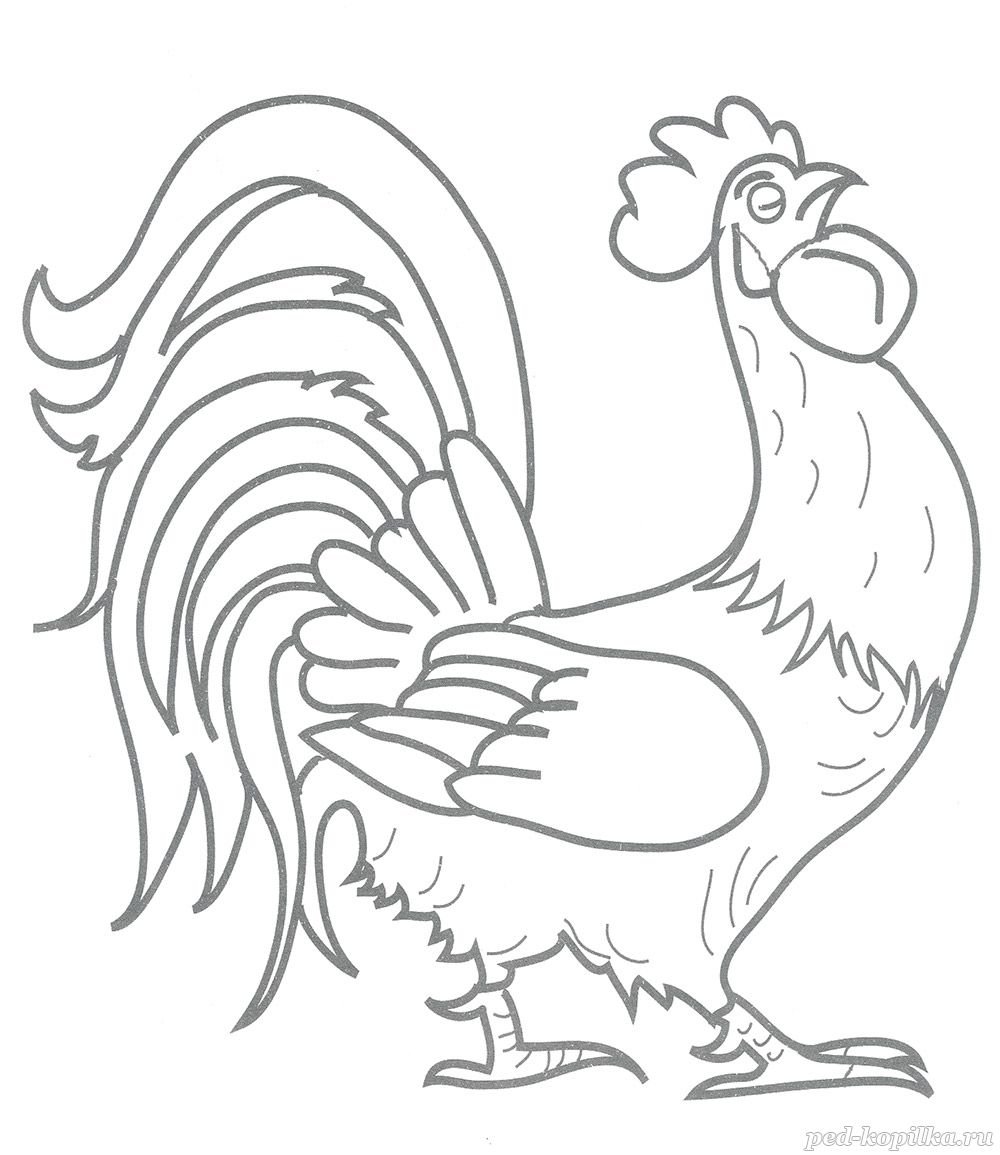 Петух картинка для детей раскраска