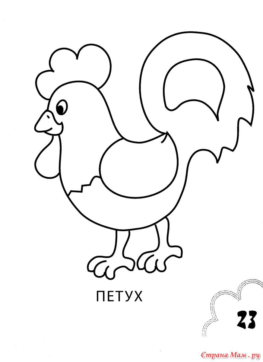 Петух раскраска