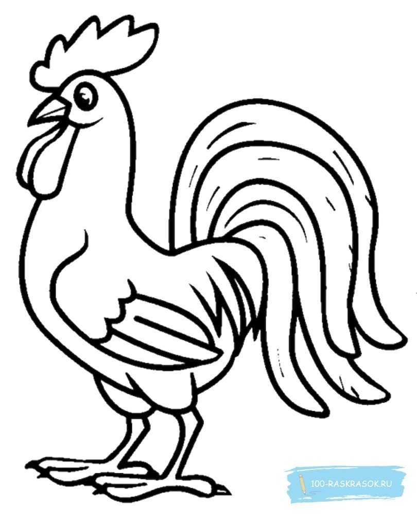 Петух рисунок