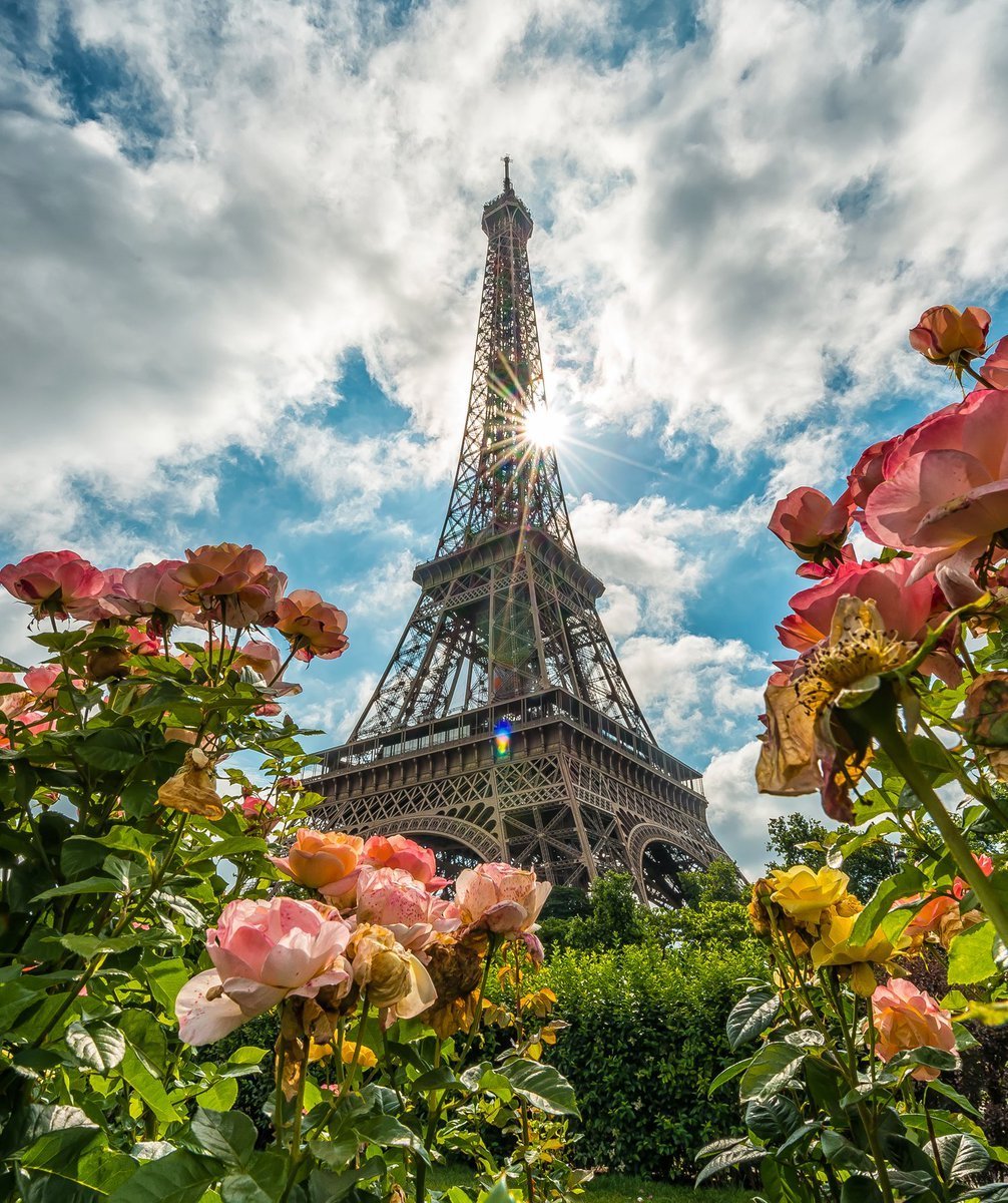 Эльфивая башня Эстетика