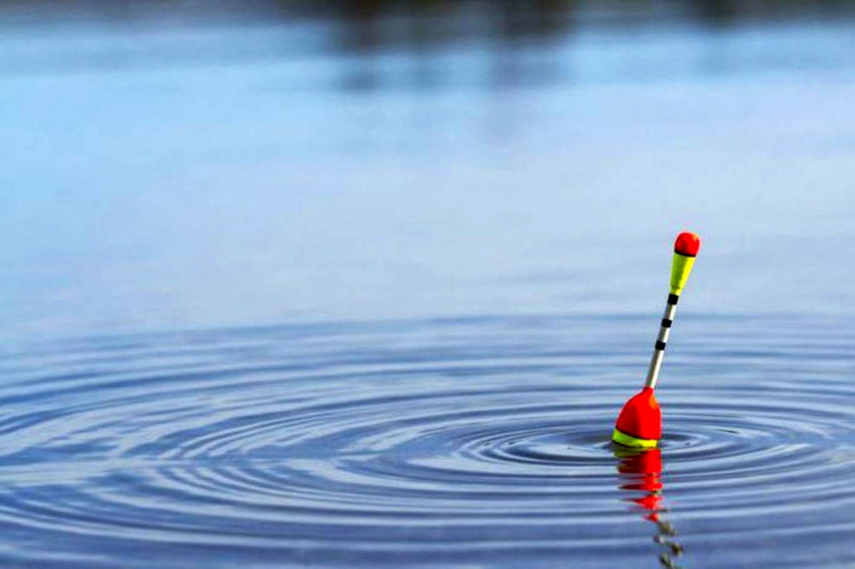 Поплавок клюет