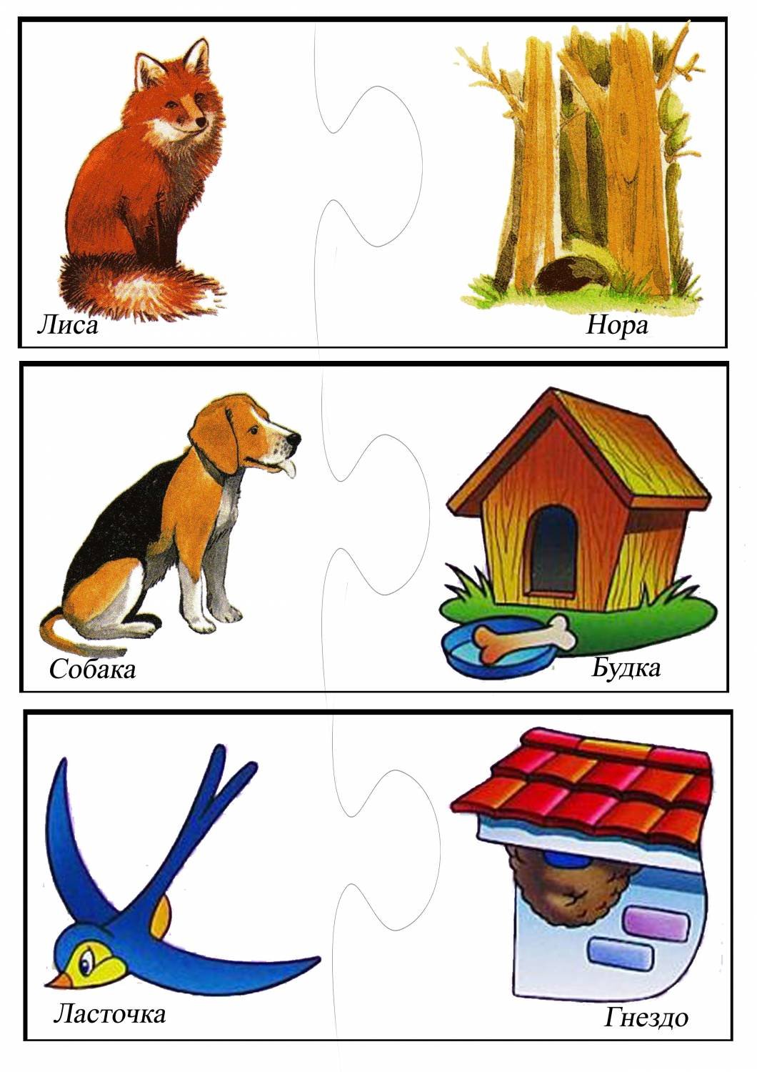 Кто где живет