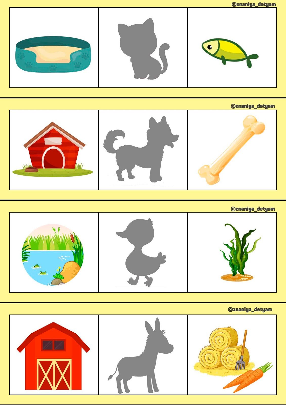 Жилище домашних животных