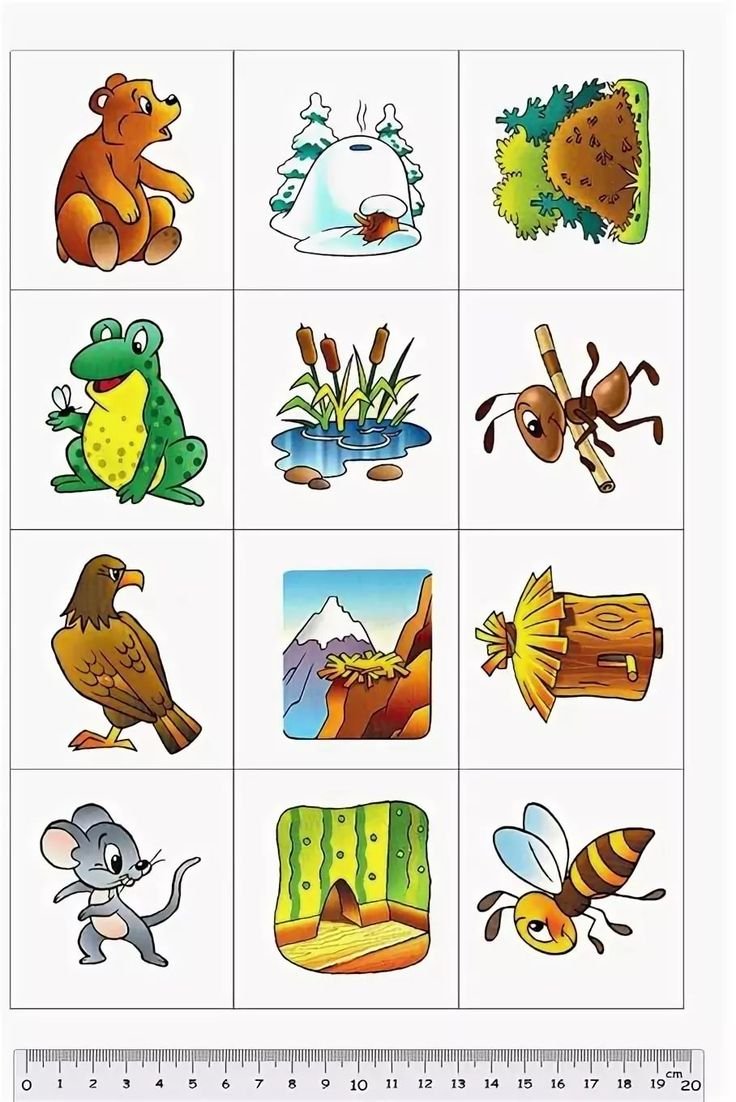 Игра "чей домик?"