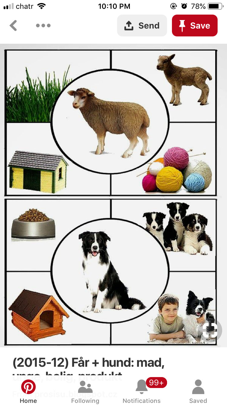 Дидактическая игра ПРЯТКИ