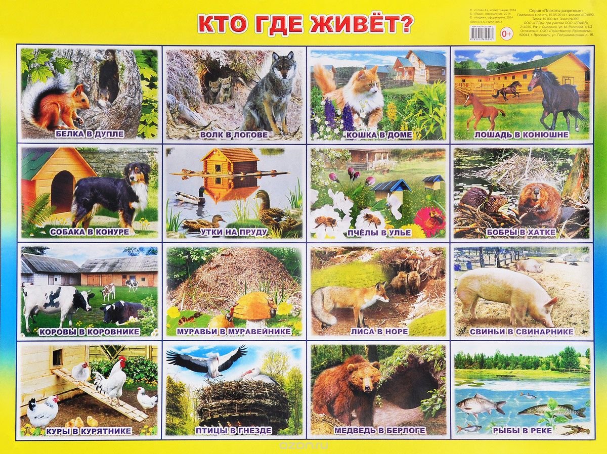 Где живут животные