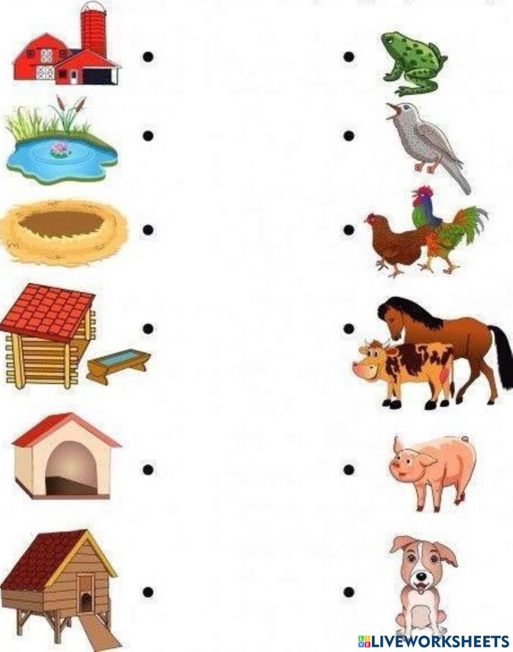 Норы сусликов схема