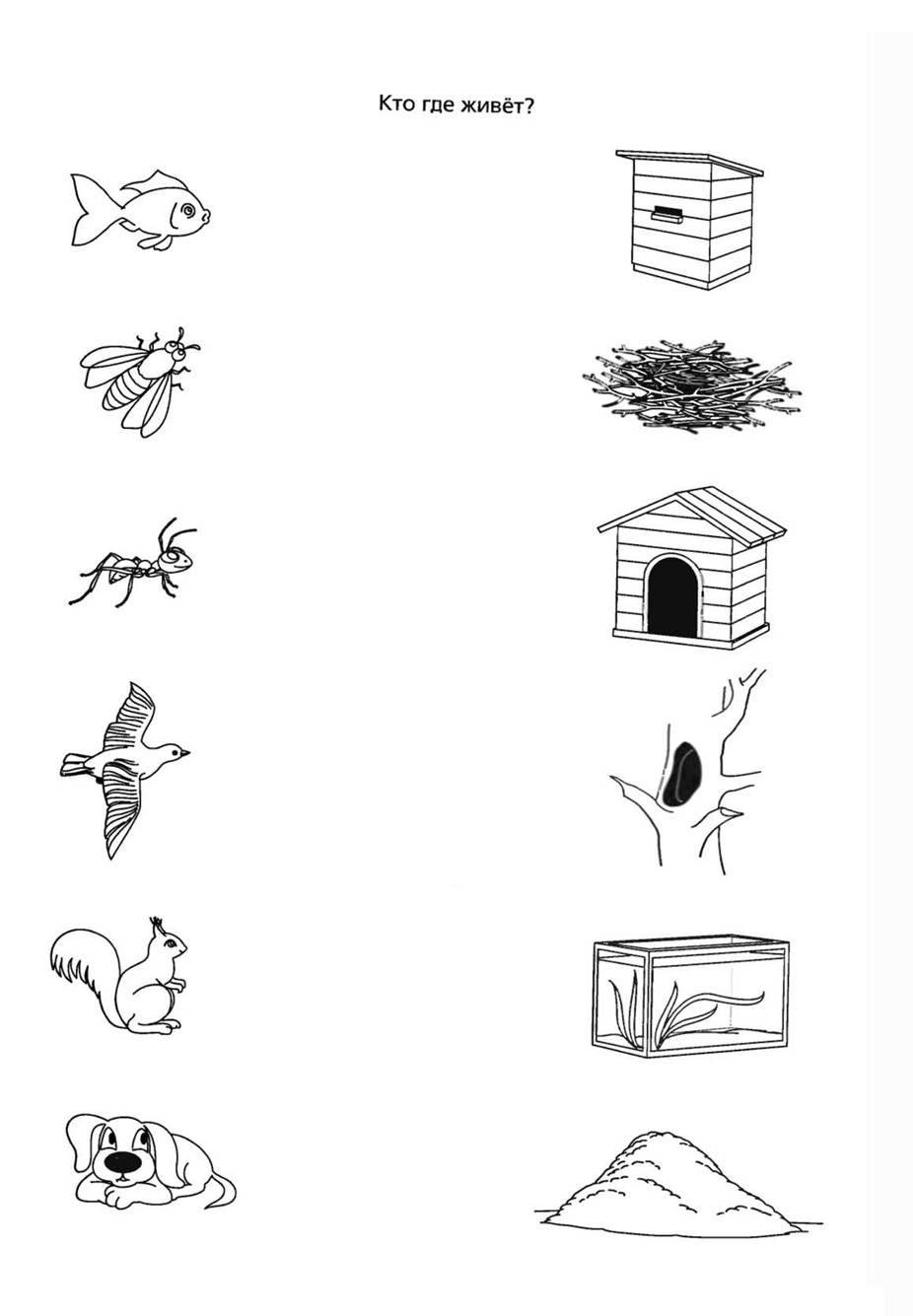 Задание кто где живет