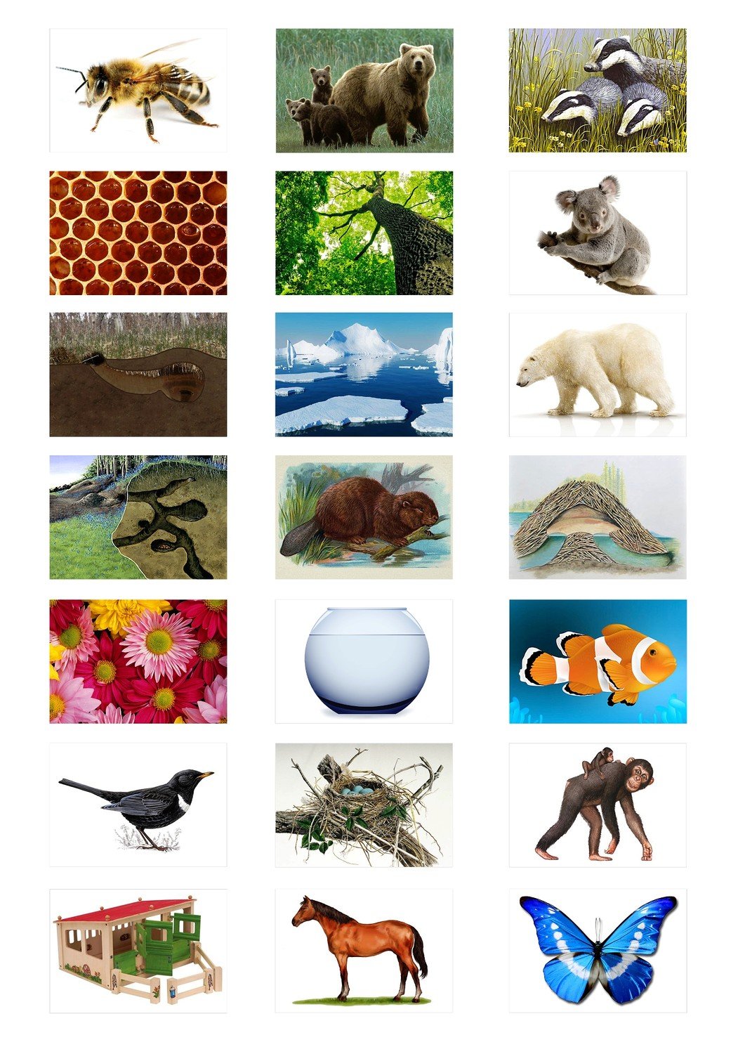 Домики животных задания для детей