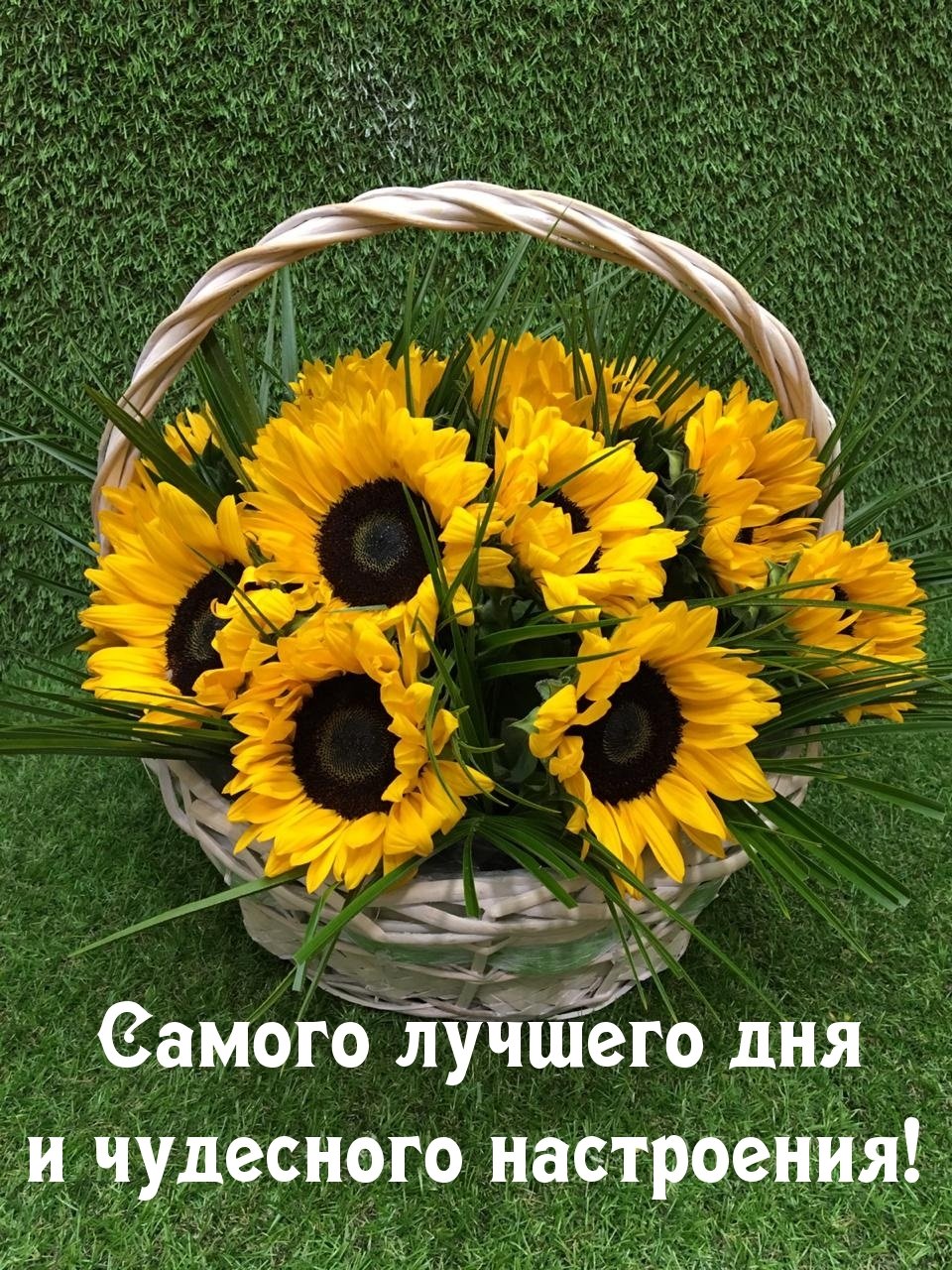 Хорошего дня и отличного настроения