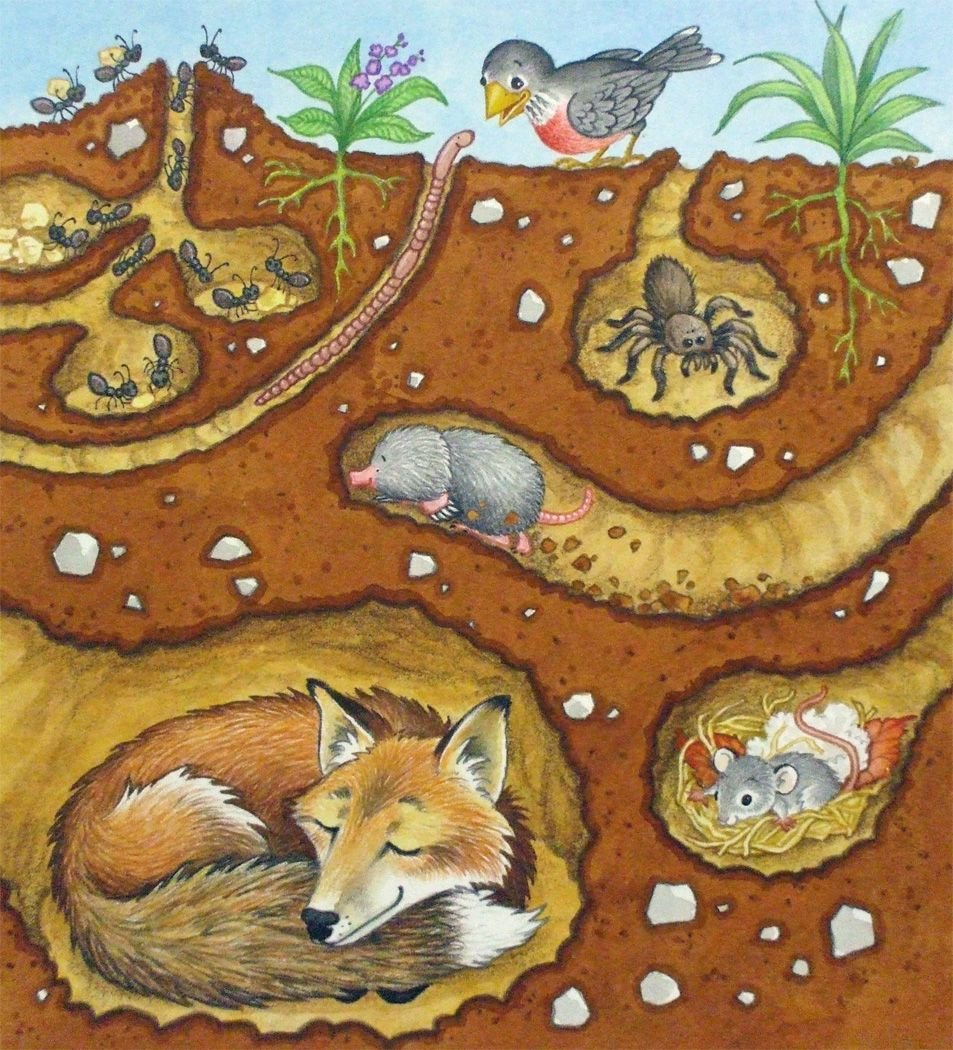 Муравейник Берлога дупло гнездо Нора