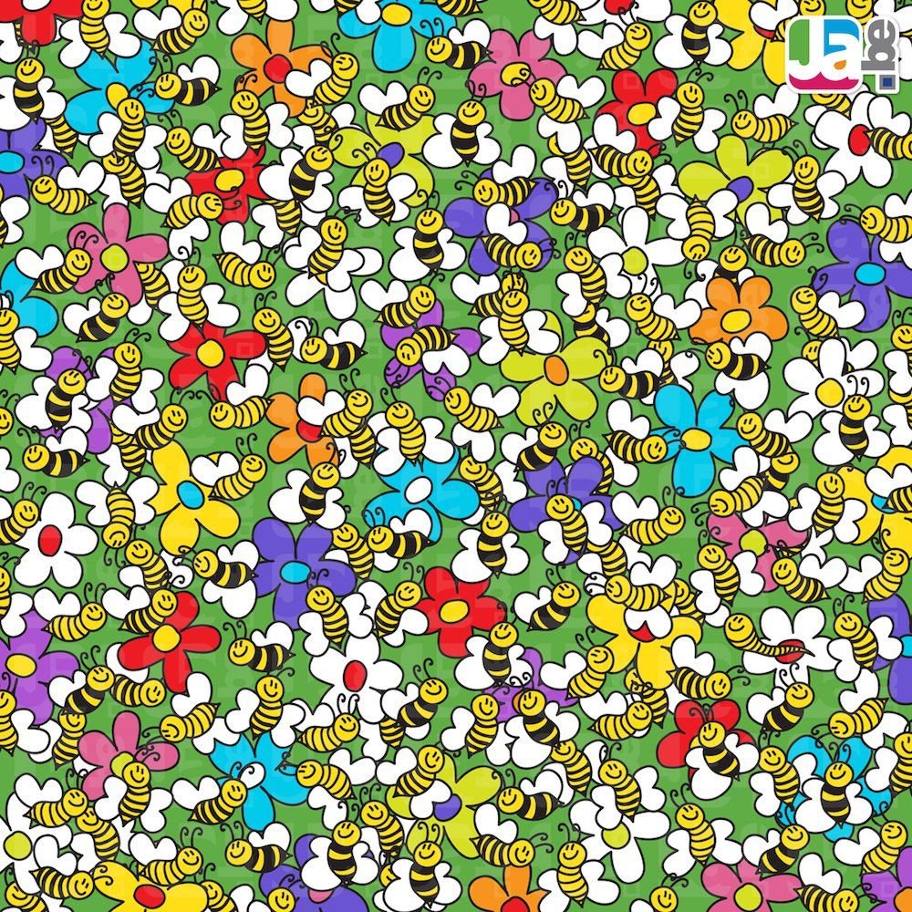 Задания для детей Найди отличия