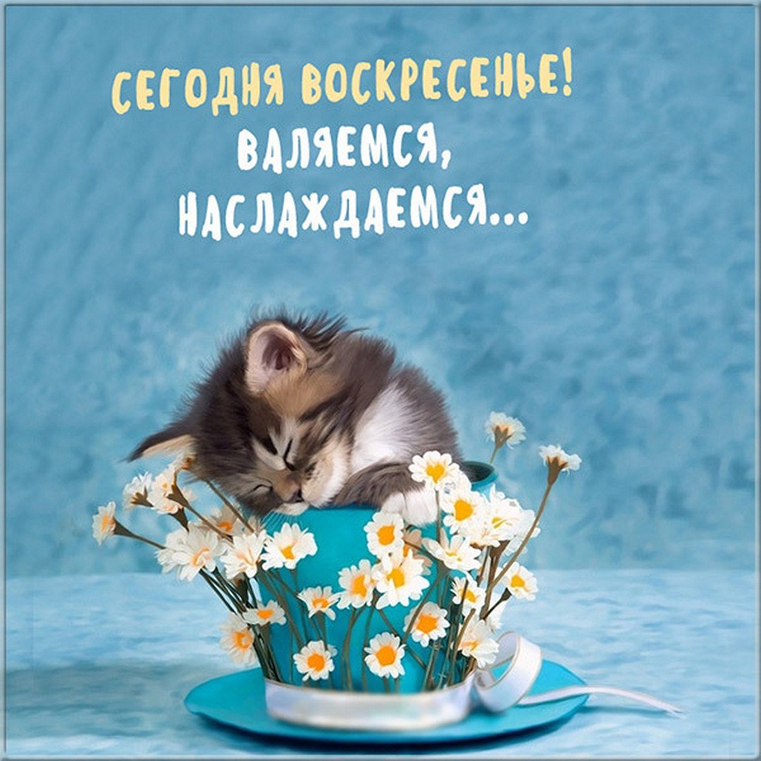 Доброе Воскресное у РО