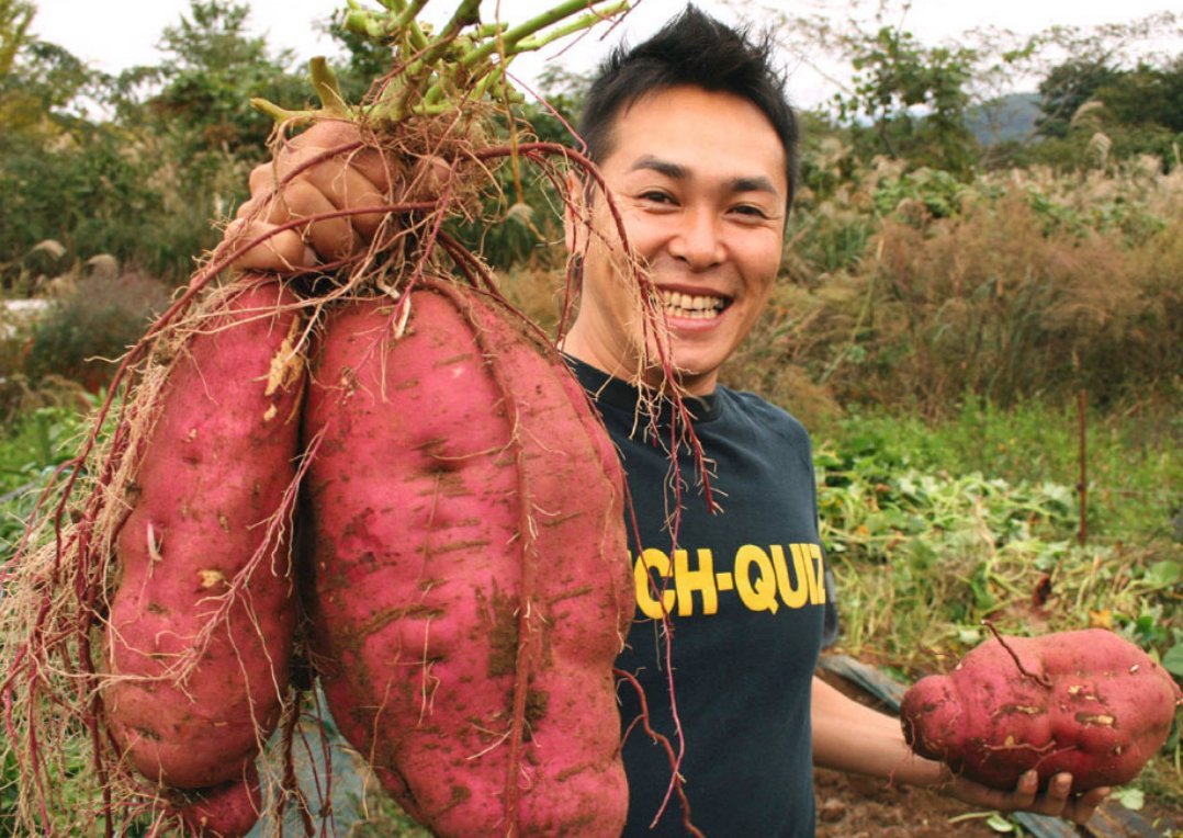 Морковь Найджел f1