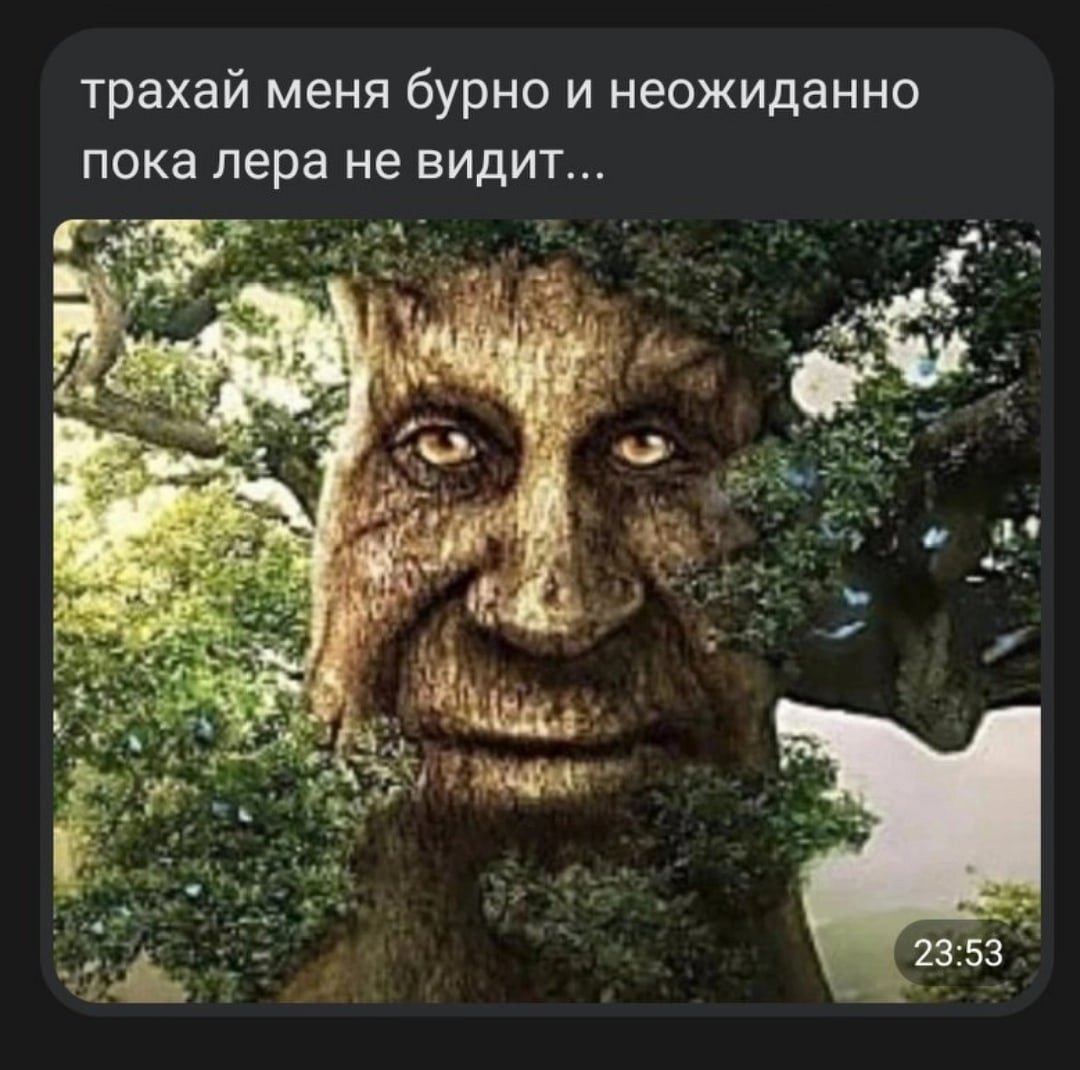 Мистическое дерево мемы