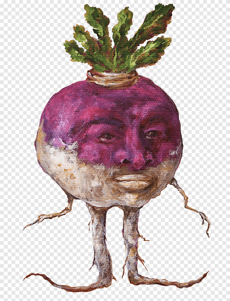 Корнеплоды раскраска для детей