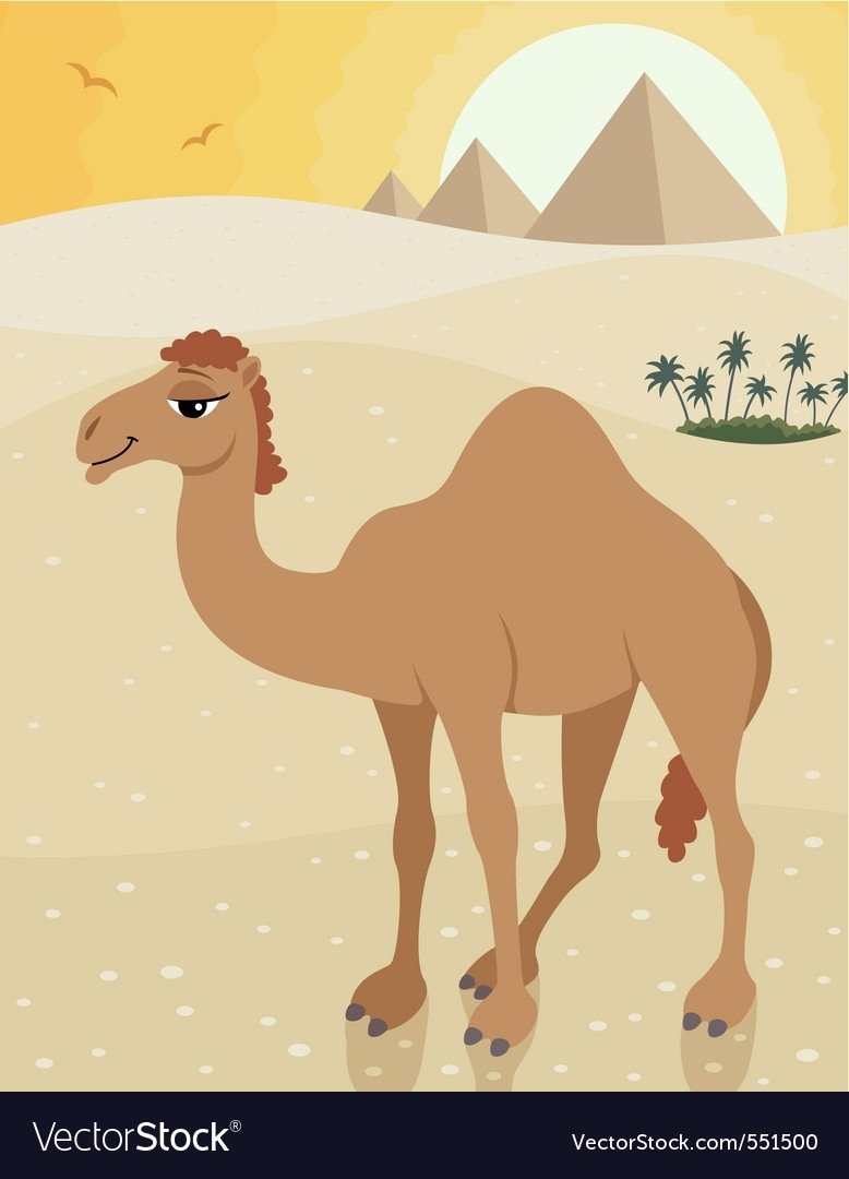 Верблюды в пустыне вектор