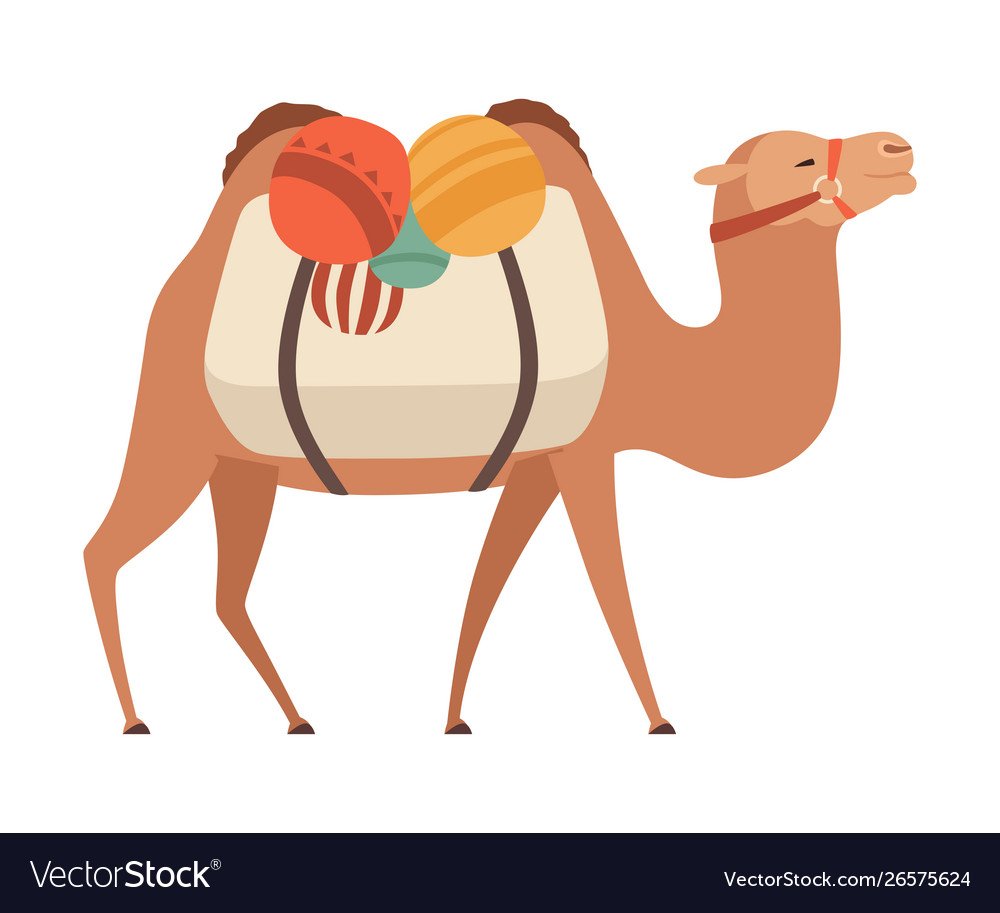 Танцующий верблюд