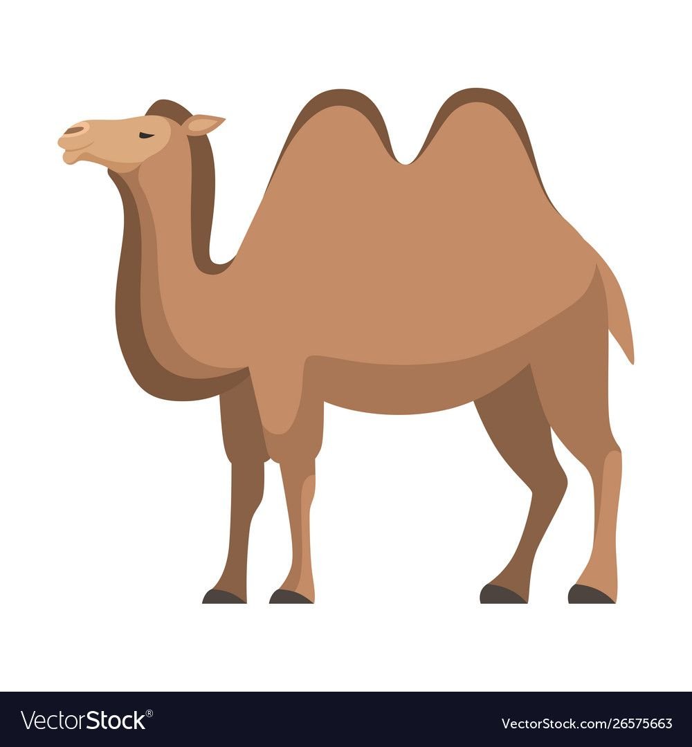 Верблюд лого