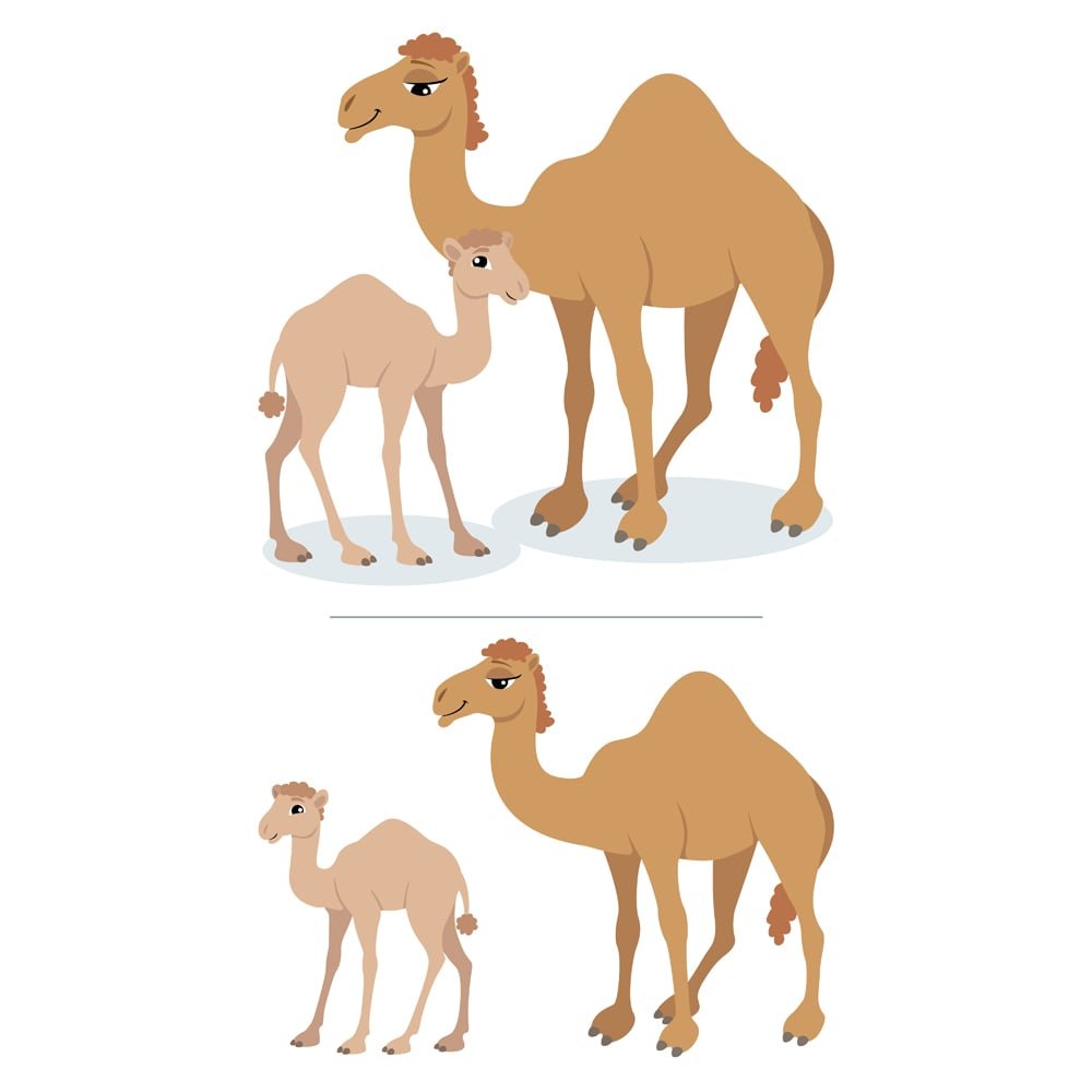 Верблюд рисунок цветной