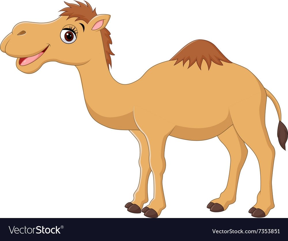 Верблюд мультяшный