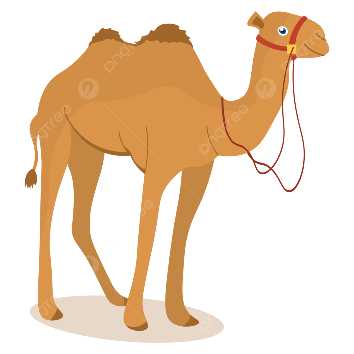 Верблюжонок для детей