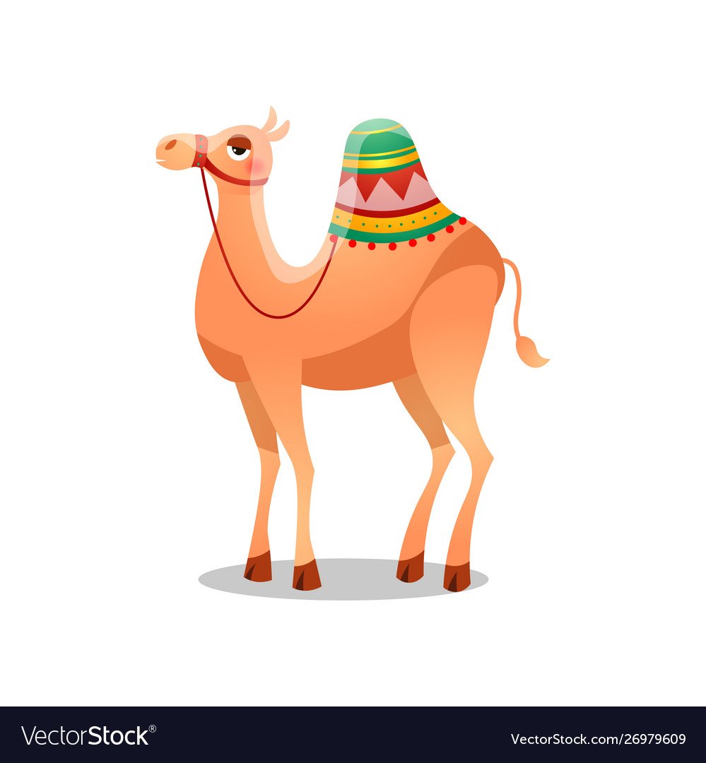 Верблюд для дошкольников