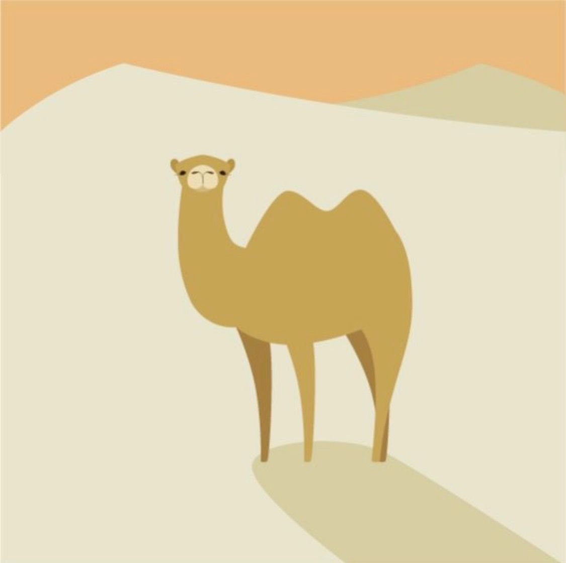 Верблюд карикатура