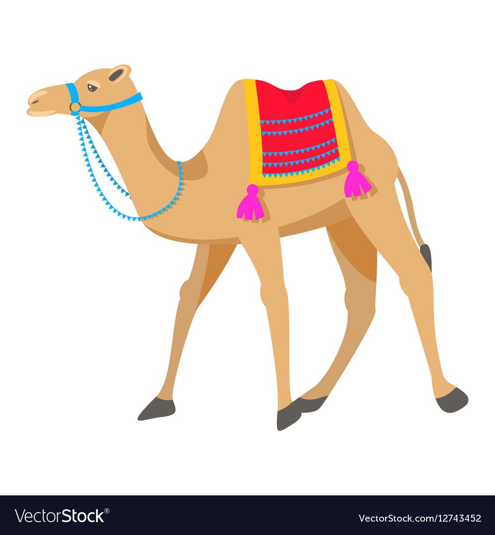 Верблюд для детей