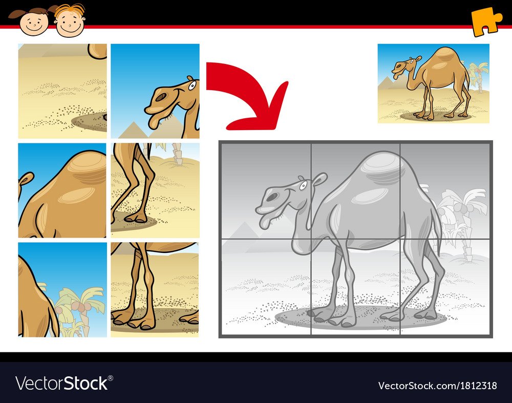 Верблюды в детский сад